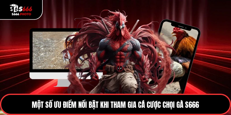 Một số ưu điểm nổi bật khi tham gia cá cược chọi gà S666