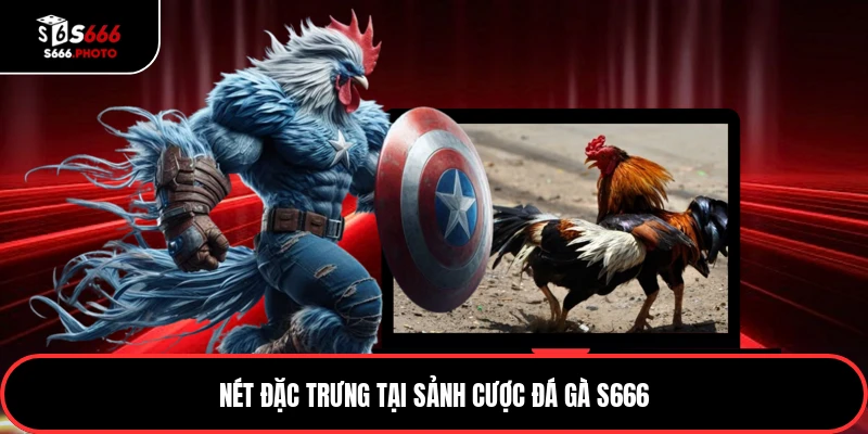 Nét đặc trưng tại sảnh cược đá gà S666