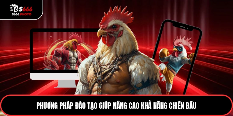 Phương pháp đào tạo giúp nâng cao khả năng chiến đấu